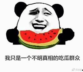 吃瓜新高度,揭秘娱乐圈幕后风云