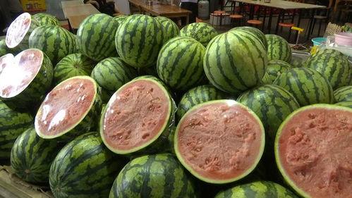 二十元吃瓜,揭秘夏日消暑新潮流