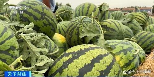 全网最热门吃瓜