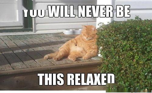 卑微吃瓜记,卑微吃瓜者的逆袭之路