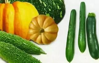 连续多天吃蜜瓜,连续多日甜蜜体验