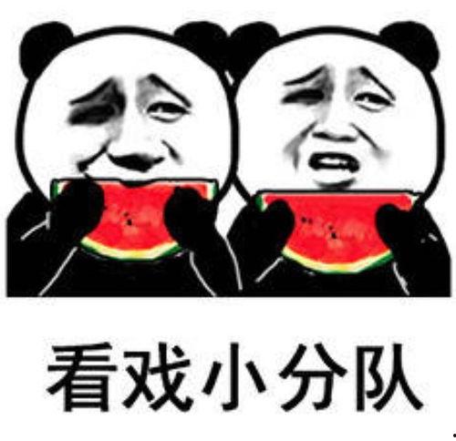 开学吃瓜表情包,表情包里的校园风云录