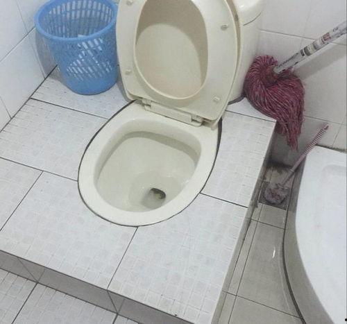 带你吃瓜高级马桶