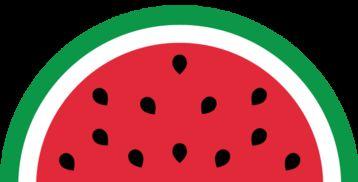 因为吃瓜错过考试