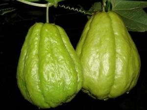 佛手瓜贵州咋吃,佛手瓜的独特吃法探索