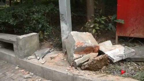 瓜车翻了吃西瓜