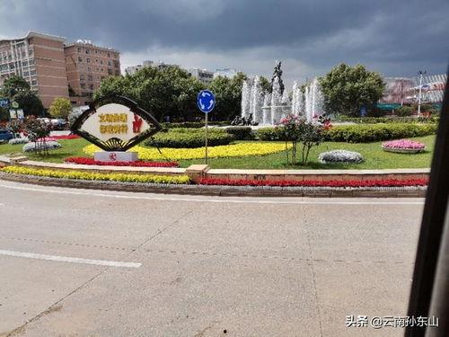 曲靖医专吃瓜,揭秘校园热点事件背后的真相